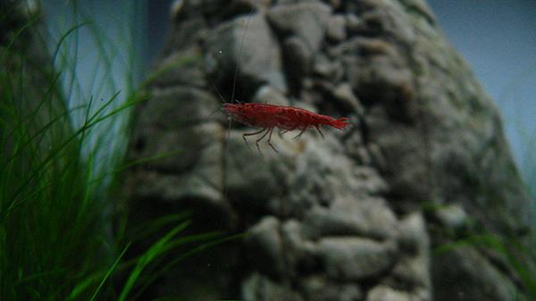 IMG_2121.JPG
