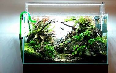 064l - ADA Cube Garden - Adam Golik