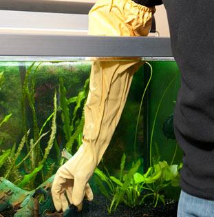 aqua gloves 2.jpg