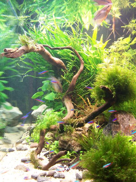100_7035.jpg