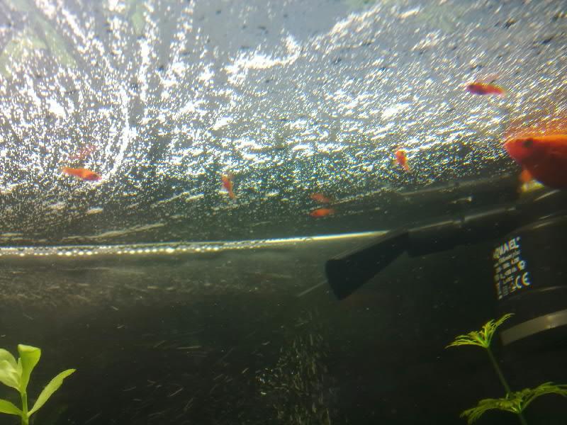 15082011194.jpg
