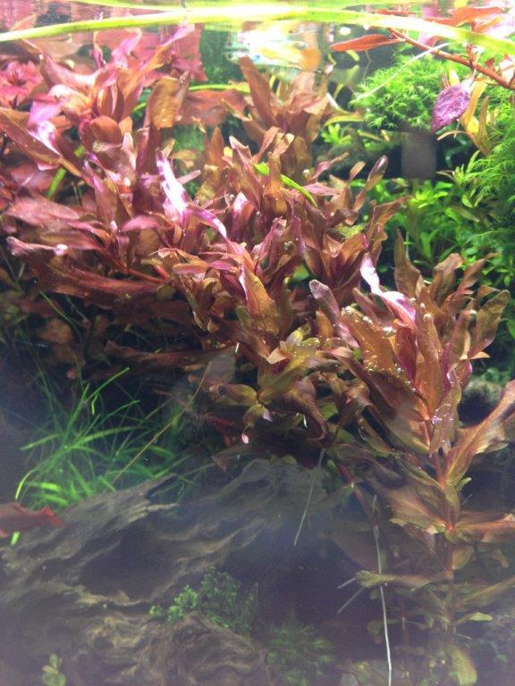 IMG_2756.jpg