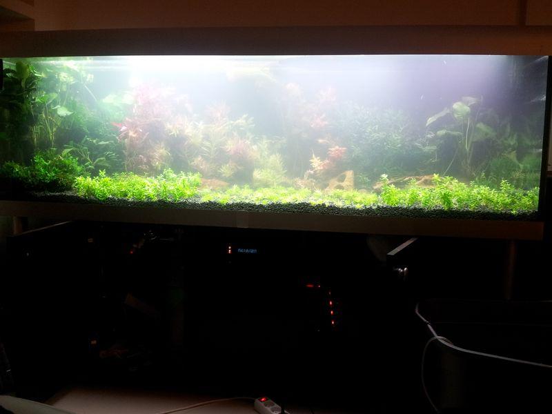 20131109_175941 [800x600].jpg