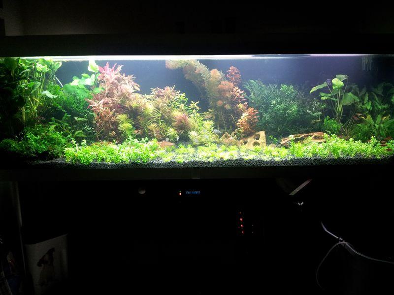 20131110_163227 [800x600].jpg