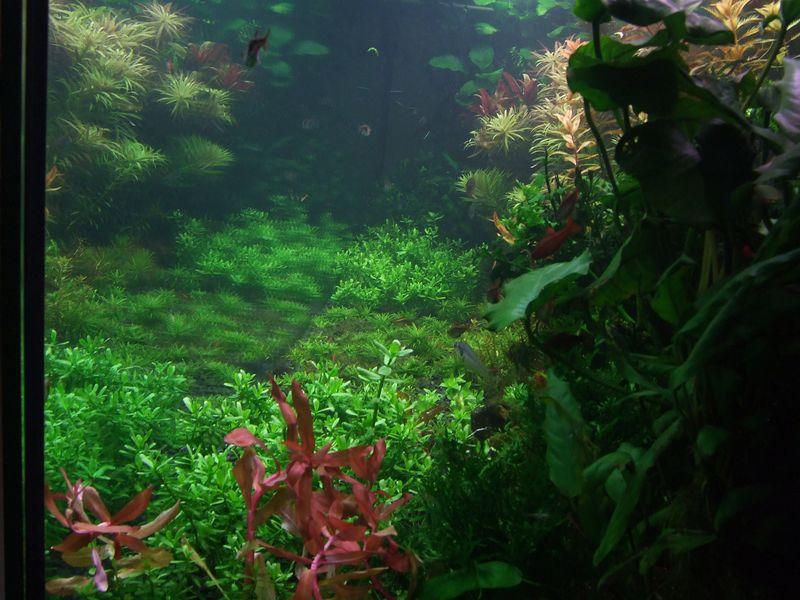 DSCF8904 [800x600].JPG