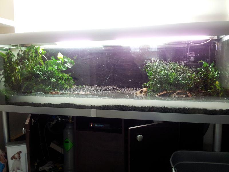 20131109_142210 [800x600].jpg