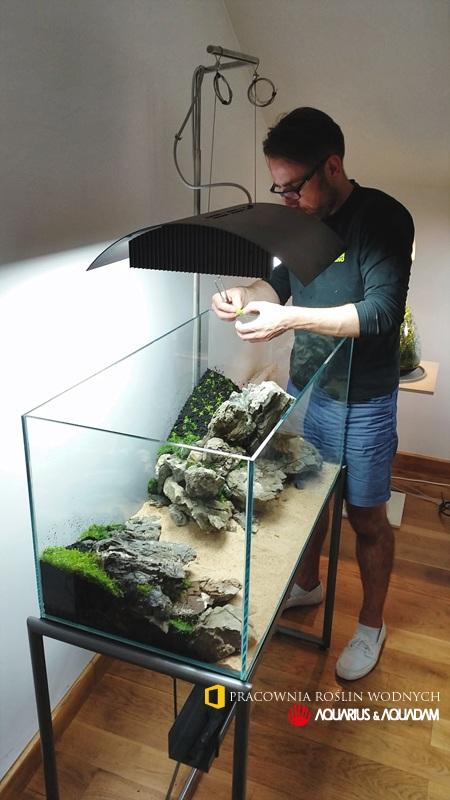 9-Cube-Garden-90-Aqua-Design-Amano-Iwagumi-Pracownia-Roslin-Wodnych-ADA.jpg
