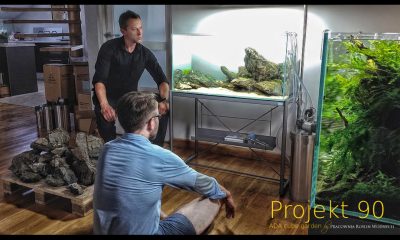 182l - Pracownia Roślin Wodnych, ADA Idea Studio- Projekt 90