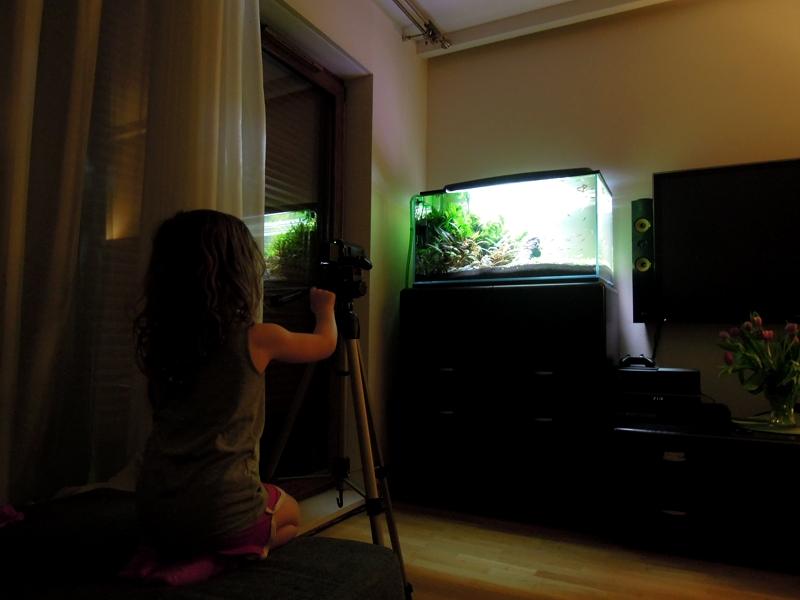 DSCN2683.jpg