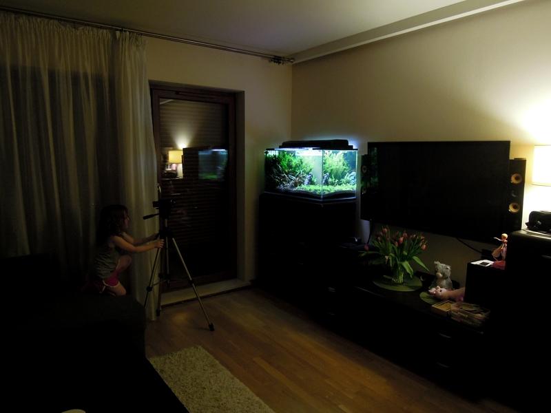DSCN2712.jpg