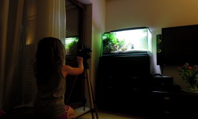 182l -  Fishtank_3 - S.S.