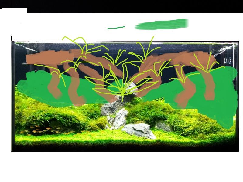 Dreem tank.jpg