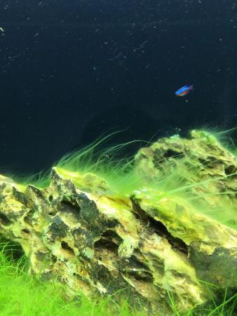 IMG_0247.JPG