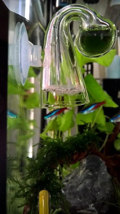 WP_20170129_13_10_21_Pro_LI.jpg