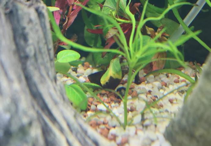 2016-05-06_195409.jpg