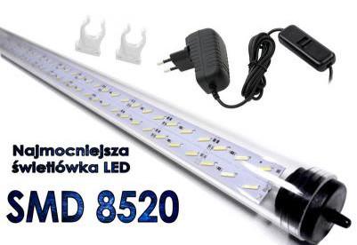 świetlówka LED 8520 akwarium 30cm x2.jpg