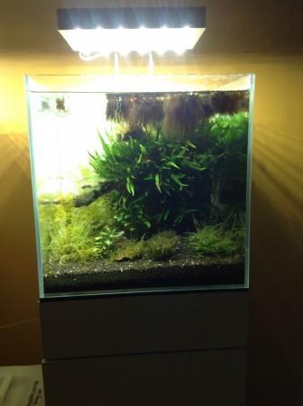 IMG_0108.JPG
