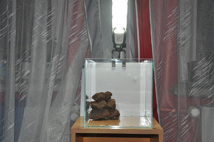 obraz 013.jpg