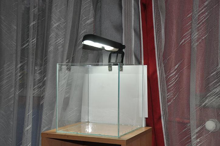 obraz 010.jpg