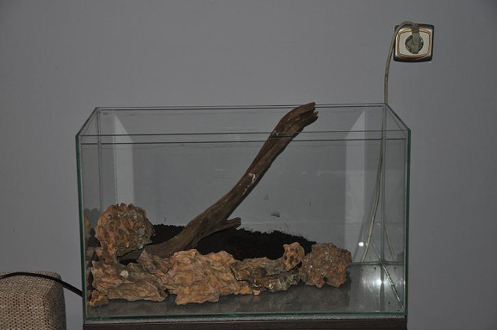 obraz 018.jpg