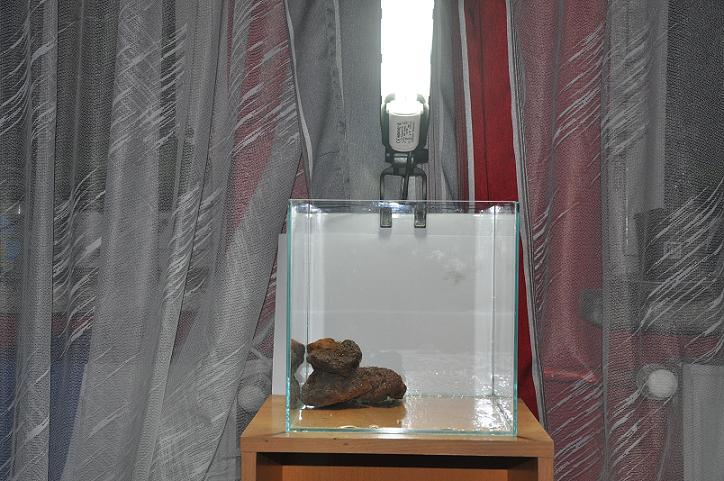 obraz 012.jpg