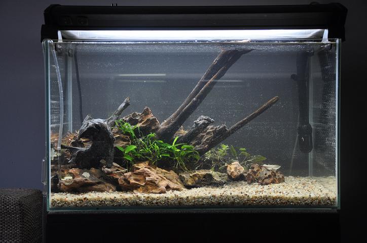 obraz 003.jpg