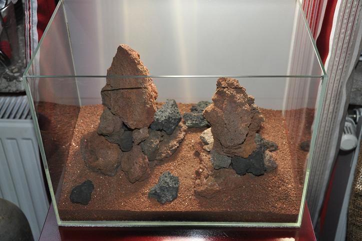 obraz 022.jpg