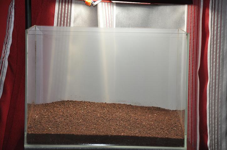 obraz 014.jpg