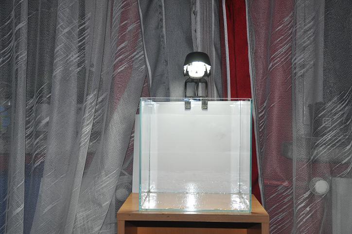 obraz 011.jpg
