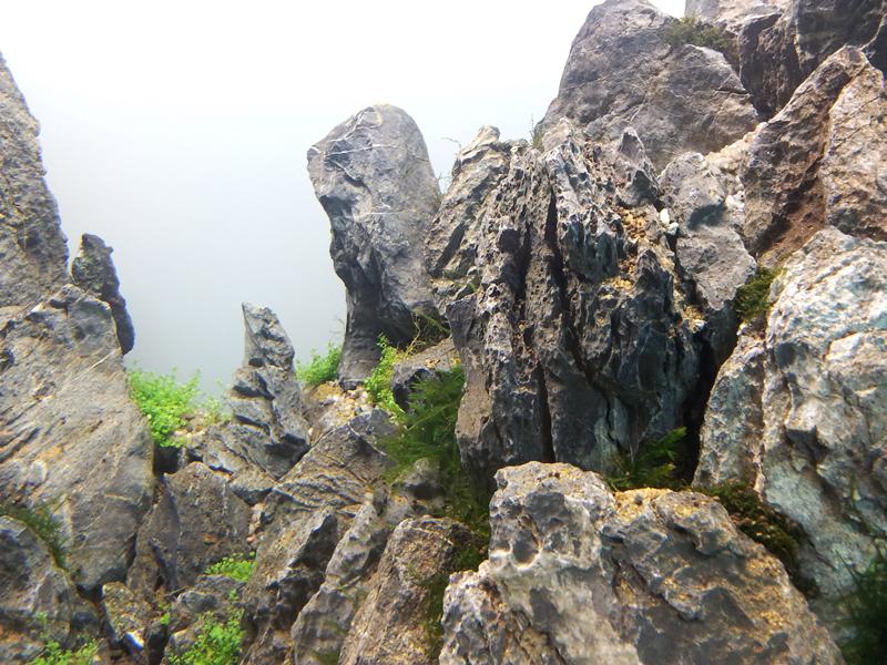 20130803_102344.jpg