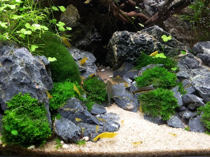 20130803_102316.jpg