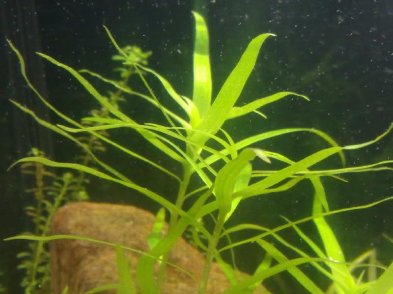 19082011209.jpg