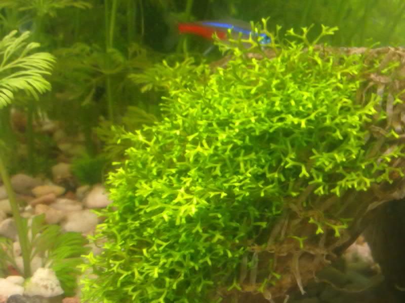 19082011211.jpg