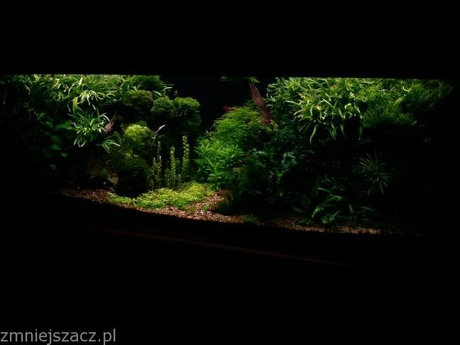 -s0.zmniejszacz.pl-003_zmniejszacz-pl_892027.jpg