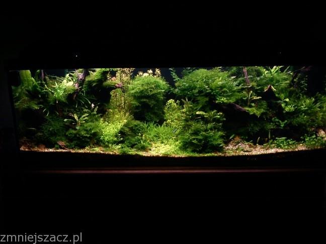 -s0.zmniejszacz.pl-034_zmniejszacz-pl_725112.jpg