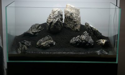 180l - "4" - GrzegorzG