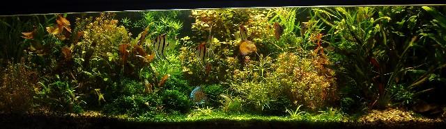 1P8130057.JPG