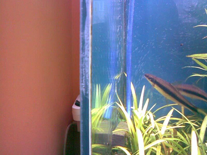 20070128(001).jpg