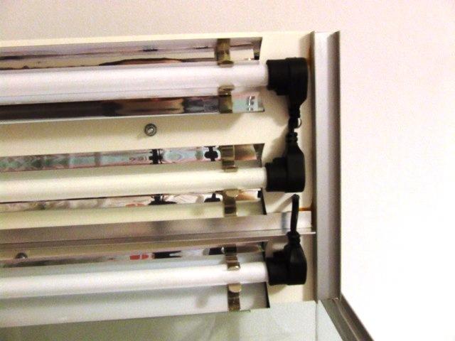 2007_03100006.JPG