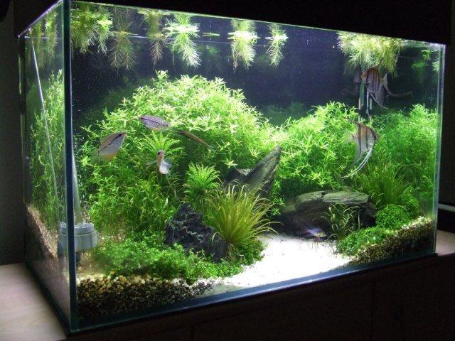 2007_07210007.JPG