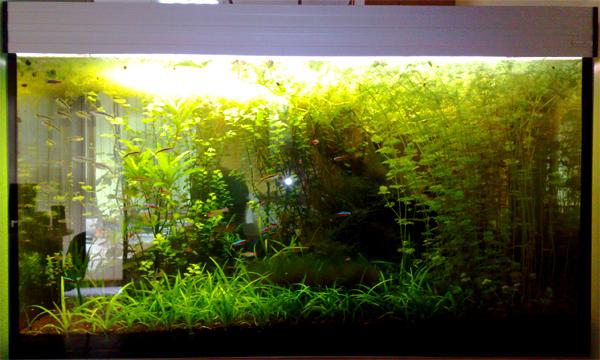 2008_05_24.jpg