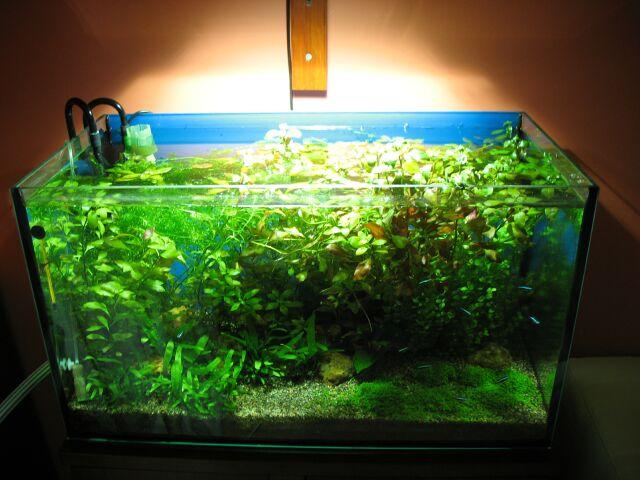 2008_08_02.jpg