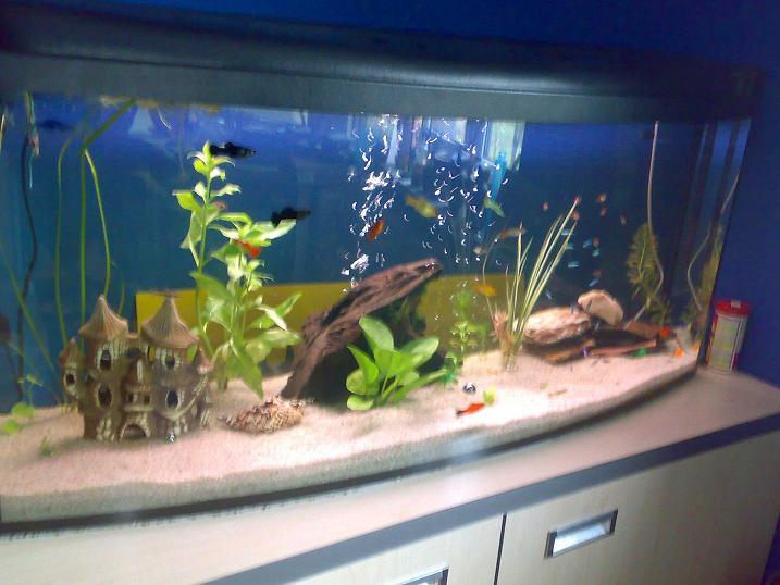 20091025022.jpg