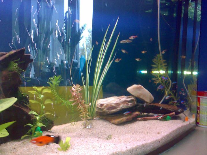 20091025025.jpg