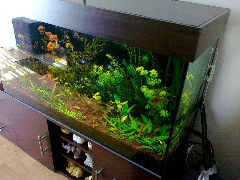 20100424017.jpg
