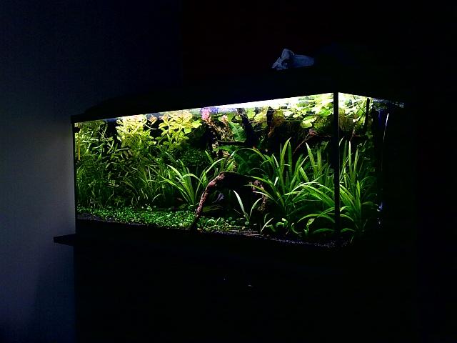 20100731319.jpg