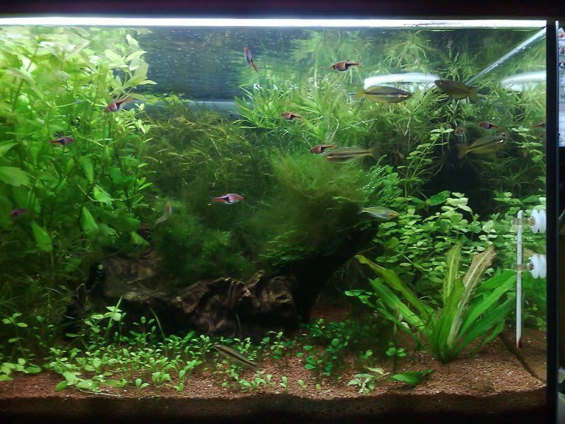 20110207007.jpg