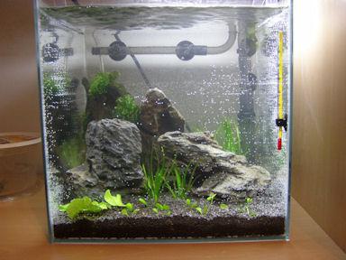 20110521_3.JPG