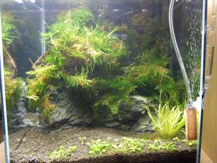 20110625_10.JPG