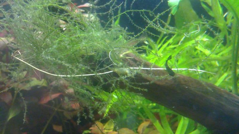 20110710013.jpg
